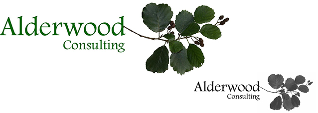 Alderwood Consulting Logo case study illustration 4 Alderwood Consulting Logo case study illustration 4