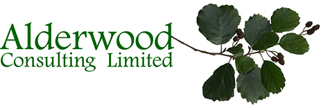 Alderwood Consulting Logo case study illustration 5 Alderwood Consulting Logo case study illustration 5