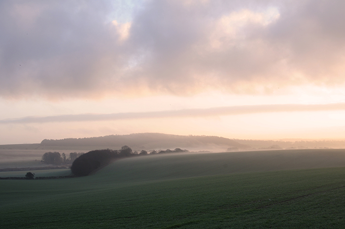Morning on Cranborne Chase