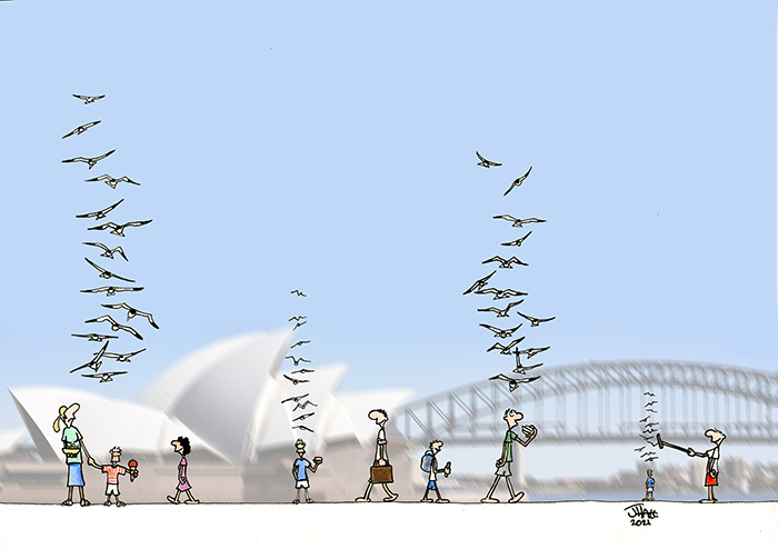 Chips and Seagulls