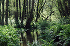 Link to Landscape (England) Photo gallery