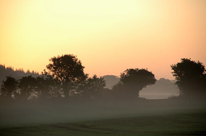 Sunset in the Crane Valley