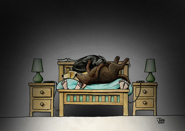 Five in a bed!