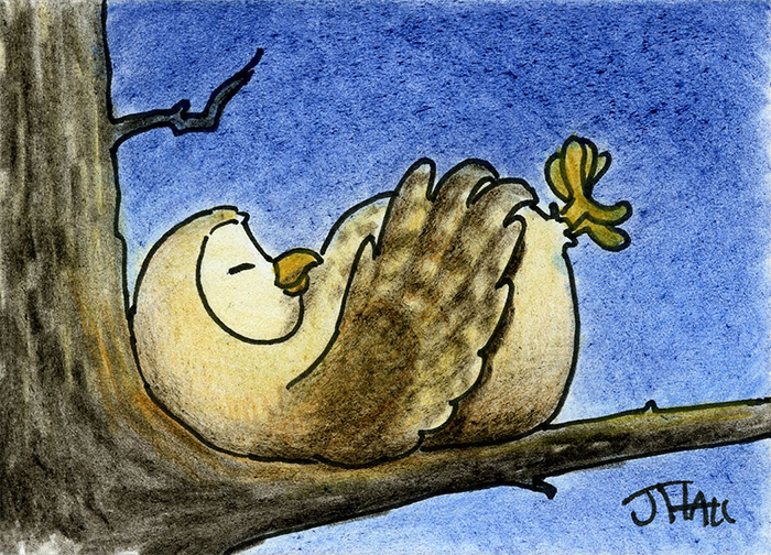 Oscar the Owl