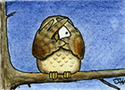 Link to Bird Cartoon gallery