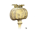 Link to Miscellaneous Fine Art gallery