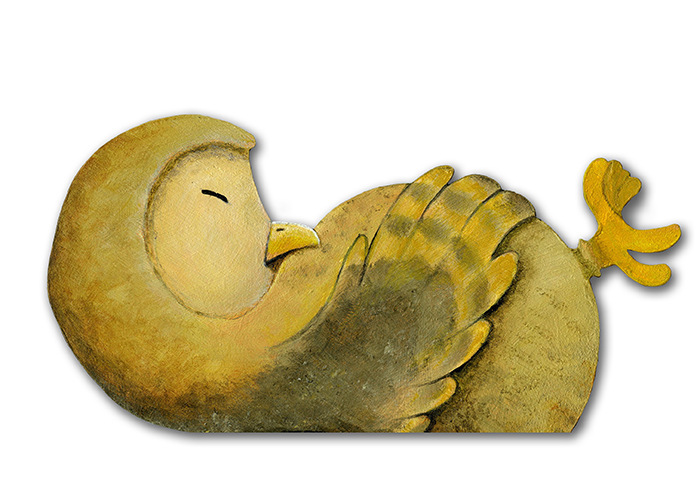 Sleeping Owl