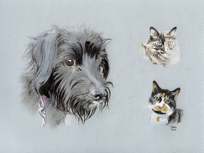 Sweep, Dizzi and Kiki