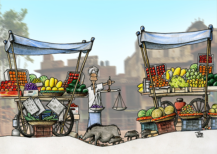 Village fruit market