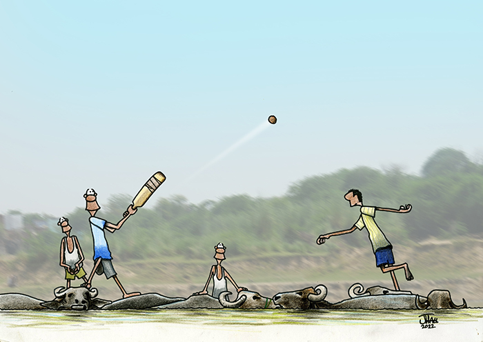 Water Cricket