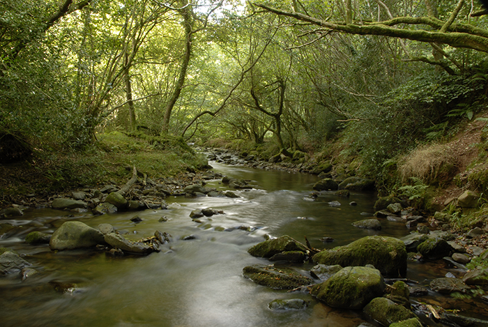 Watersmeet