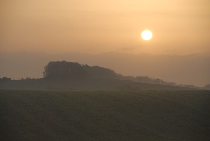 Dawn on Cranborne Chase