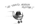 So that's aileron flutter