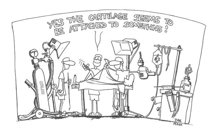 The cartilage seems to be attached to something : Part 1