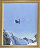 Silent Flight