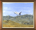 Desert Falcon