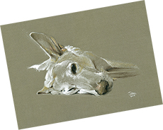 Plaudit Image for Julie