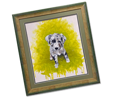 Plaudit Image for Annabel and Thorben