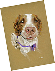 Plaudit Image for Chris