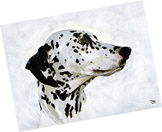 Plaudit Image for Anna