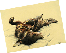 Plaudit Image for Julie